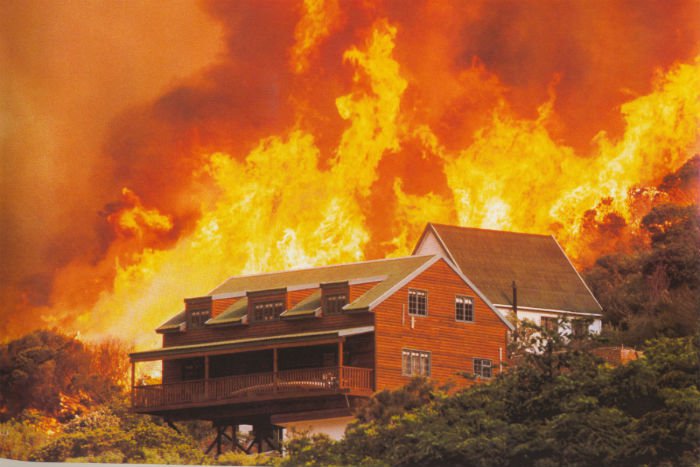 bushfire