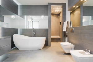 Modern Bathroom with bathtub